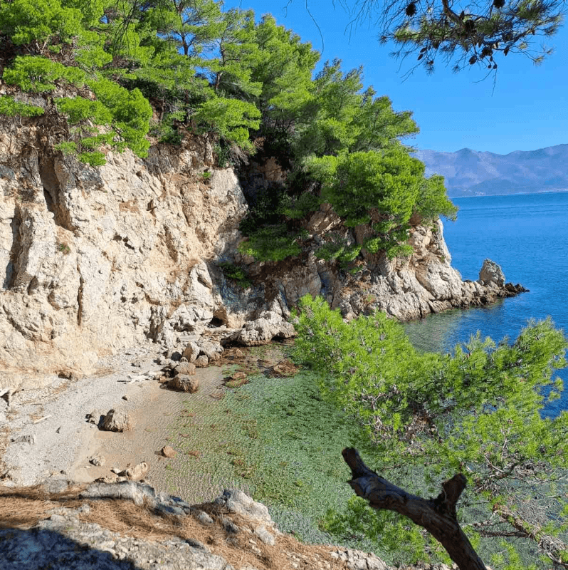 Versteckte Bucht mit klarem türkisfarbenem Wasser unter Kiefern auf den Elaphiten